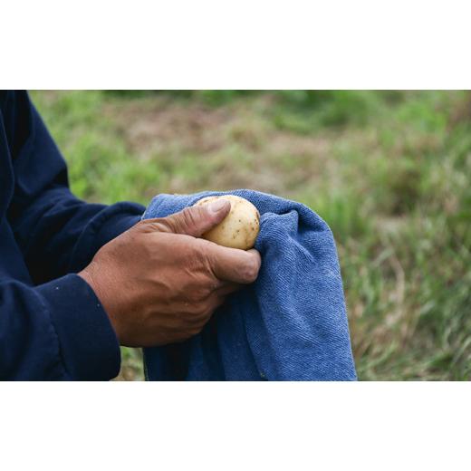 ふるさと納税 セット・詰合せ 岡山県 瀬戸内市 小鶴農園 季節のお野菜5〜7品目セット（農薬・化学肥料不使用） 配達不可：北海道・沖縄・離島 No.5735-1047の画像