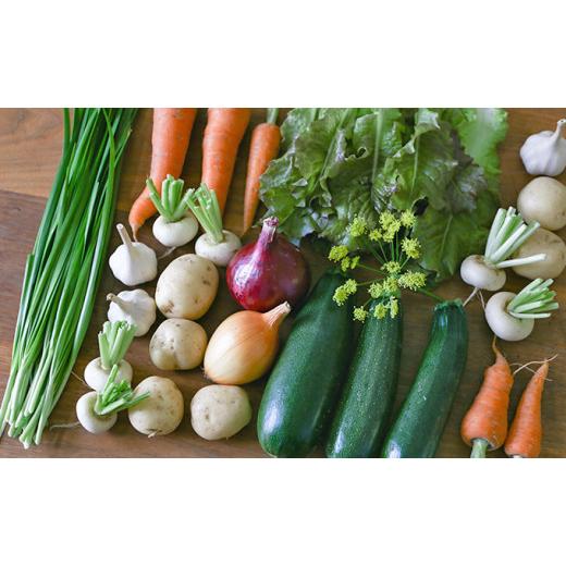 ふるさと納税 セット・詰合せ 岡山県 瀬戸内市 小鶴農園 季節のお野菜5〜7品目セット（農薬・化学肥料不使用） 配達不可：北海道・沖縄・離島 No.5735-1047の画像