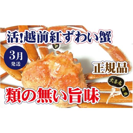 ふるさと納税 カニ ずわいガニ 福井県 越前町 活 越前 紅ずわいがに × 1杯 旨味満点 紅ズワイガニ 紅ずわい蟹 かに カニ 蟹 姿 生 ボイル 冷蔵 福井県 3月発…
