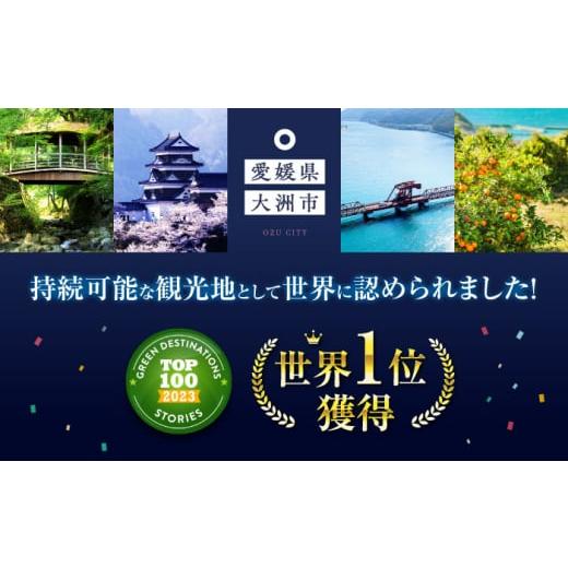 ふるさと納税 和菓子 和菓子セット・詰め合わせ 愛媛県 大洲市 志ぐれ 山栄堂の志ぐれ詰め合わせBセット（2箱） 郷土菓子 食べ比べ セット 栗 抹茶 もちもち …の画像