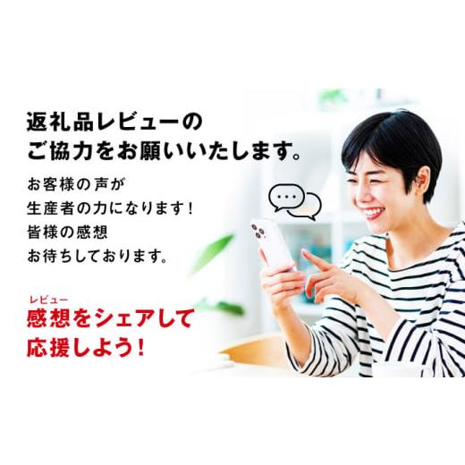 ふるさと納税 和菓子 和菓子セット・詰め合わせ 愛媛県 大洲市 志ぐれ 山栄堂の志ぐれ詰め合わせBセット（2箱） 郷土菓子 食べ比べ セット 栗 抹茶 もちもち …の画像