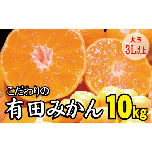 ふるさと納税 果物類 みかん 和歌山県 新宮市 農家直送 有田みかん 約10kg 大玉3L以上 有機質肥料100% 2026年11月〜12月に順次発送予定(お届け日指定不可) nu…