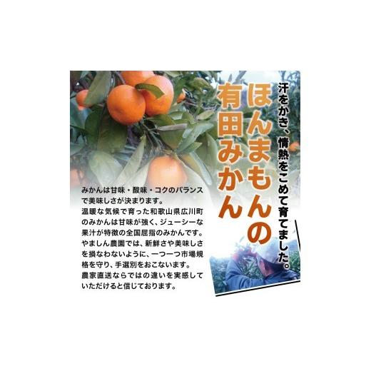 ふるさと納税 果物類 みかん 和歌山県 北山村  先行予約 有田みかん 約10kg 大玉3L以上 有機質肥料100% 光センサー選別 2026年11月〜12月に順次発送(お届け日… |  | 07