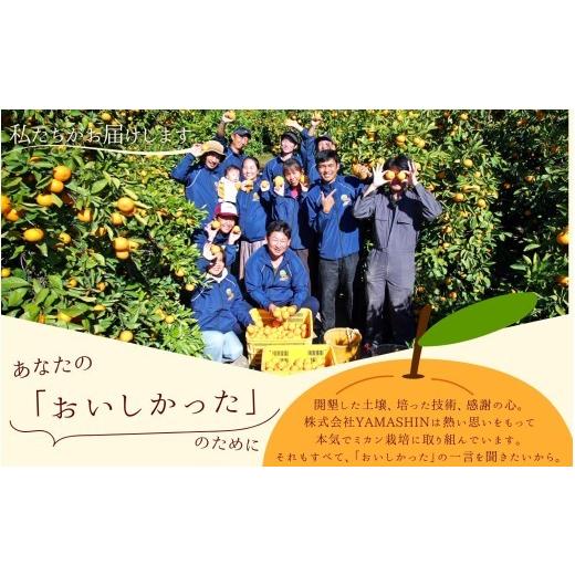 ふるさと納税 果物類 みかん 和歌山県 北山村  先行予約 有田みかん 約10kg 大玉3L以上 有機質肥料100% 光センサー選別 2026年11月〜12月に順次発送(お届け日… |  | 08