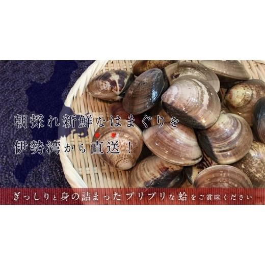 ふるさと納税 三重県 四日市市 よっかいち名産 蓄養蛤大サイズ たっぷり3kg [ハマグリ お吸い物に、焼きはまぐりに!]