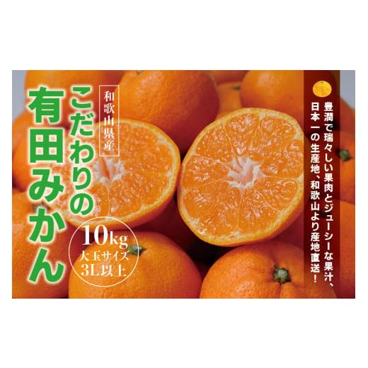 ふるさと納税 和歌山県 古座川町 ＼光センサー選別／【農家直送】有田みかん 約10kg  大玉3L以上 先行予約 有機質肥料100% ※2024年12月初旬〜2025年1月中旬に…｜furusatochoice｜02