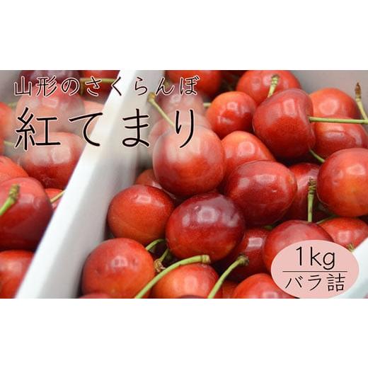 ふるさと納税 山形県 山形市 山形のさくらんぼ 紅てまり 1kg Lサイズ以上 バラ詰 [令和6年産先行予約]FU21-616 フルーツ くだもの 果物 山形 山形県 山形市 …