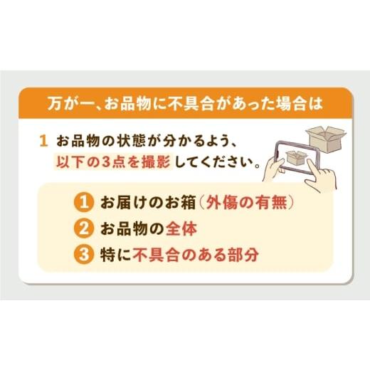 ふるさと納税 石鹸 固形石鹸 長崎県 壱岐市 BONE-BONE FISH（おさかな石けん）× 3尾 JEK002 19000 19000円の画像