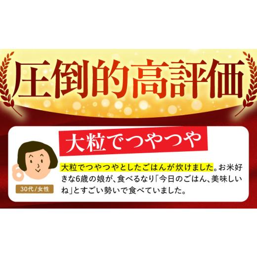 ふるさと納税 米 さがびより 佐賀県 江北町  全3回定期便 さがびより 白米 10kg ( 5kg×2袋 ) 五つ星お米マイスター厳選 HBL041 特A評価 特A 佐賀 ブランド米 …の画像