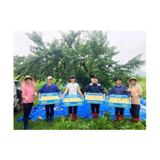 ふるさと納税 もも 岡山県 勝央町 樹熟し 白桃ジャム 160g×5個 _S83の画像
