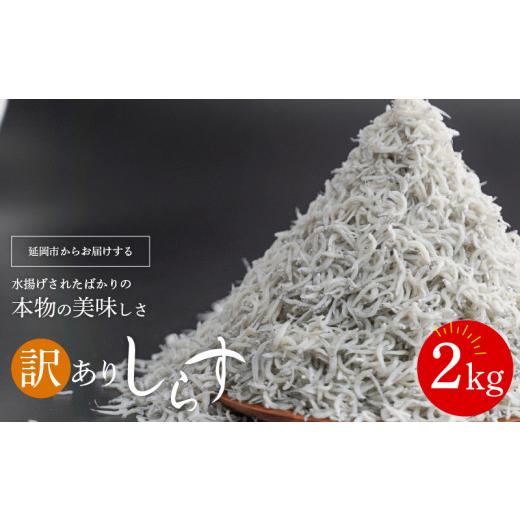 ふるさと納税 魚貝類 しらす 宮崎県 延岡市 訳ありしらす宮崎産ドドーンと2kg入り しらす丼 シラス 冷凍 パラパラ 釜揚げしらす ご飯のお供 国産 釜揚げ しら…