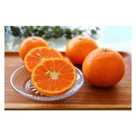 ふるさと納税 みかん・柑橘類 和歌山県 湯浅町 ZS6125n_高級カラマンダリン 5kg