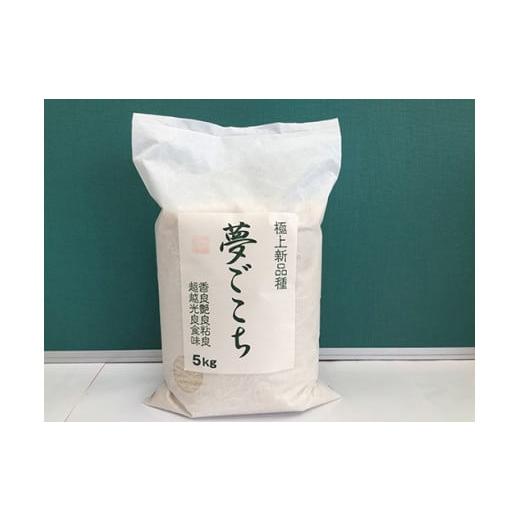 ふるさと納税 米 滋賀県 近江八幡市 新米 7年産 近江米夢ごこち 5kg×1袋 T034W1