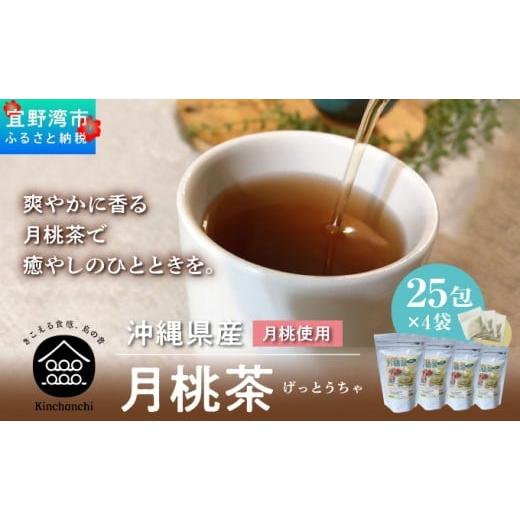 ふるさと納税 お茶類 沖縄県 宜野湾市 月桃茶（25包×4袋）_1