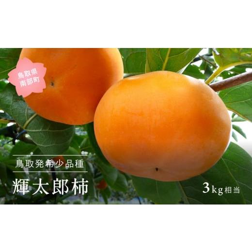 ふるさと納税 鳥取県 南部町 [YA11]輝太郎 [柿](進物用3kg箱)10月出荷予定 [数量限定]