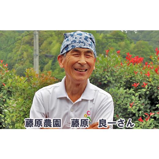 ふるさと納税 加工品等 はちみつ 鳥取県 南部町  FJ05 里地・里山のめぐみ 純粋ハチミツ（アカシア） 1kg 数量限定の画像