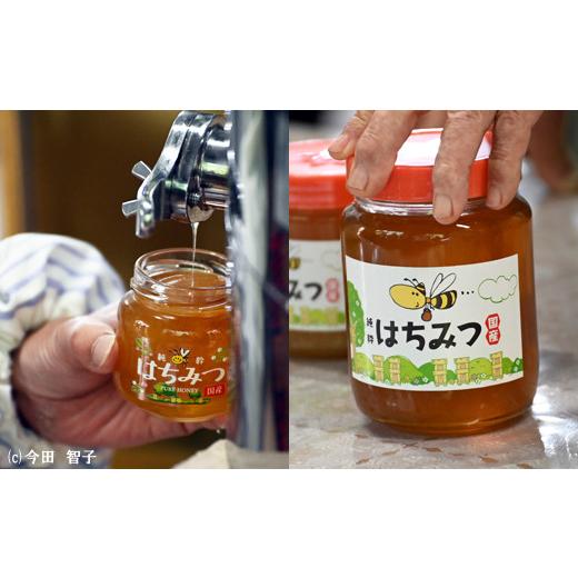 ふるさと納税 加工品等 はちみつ 鳥取県 南部町  FJ06 里地・里山のめぐみ 純粋ハチミツ（レンゲ） 1kg 数量限定の画像
