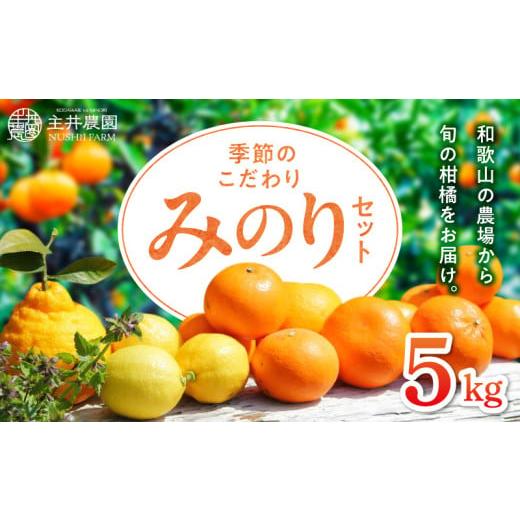 ふるさと納税 みかん・柑橘類 和歌山県 湯浅町 ZS6130n_主井農園 季節のこだわりみのりセット 訳あり 家庭用 5kg