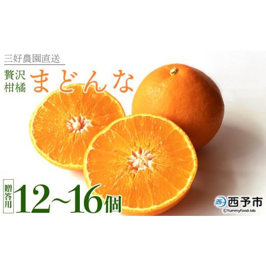 ふるさと納税 みかん・柑橘類 愛媛県 西予市 紅まどんなと同品種 贅沢柑橘「まどんな」贈答用 12〜16個入り 果物 フルーツ 愛媛果試第28号 みかん 蜜柑 ミカン…