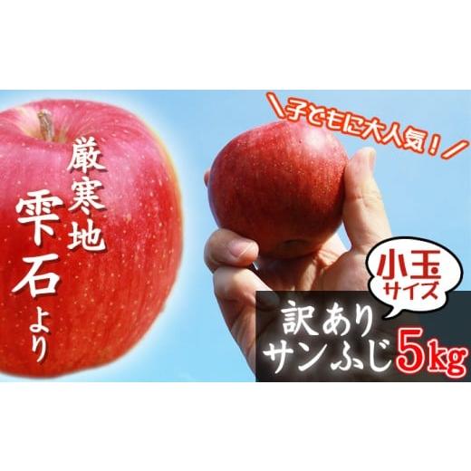ふるさと納税 りんご 岩手県 雫石町 フルーツ大国 岩手県産 訳あり 家庭用 りんご サンふじ 小玉 5kg 谷地農園 林檎 リンゴ アップル 訳アリ わけあり ワケア…