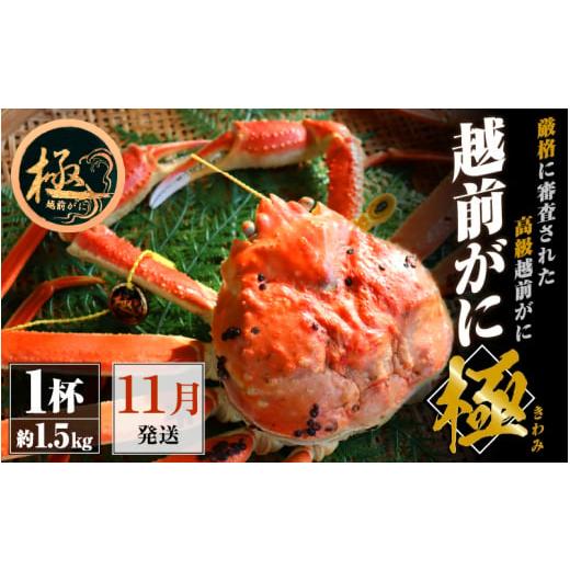 ふるさと納税 カニ ずわいガニ 福井県 越前町 越前がに本場の越前町からお届け 越前がに極 浜茹で × 1杯(生で約1.5kg)極タグ付き 正真正銘の越前がに極 か…