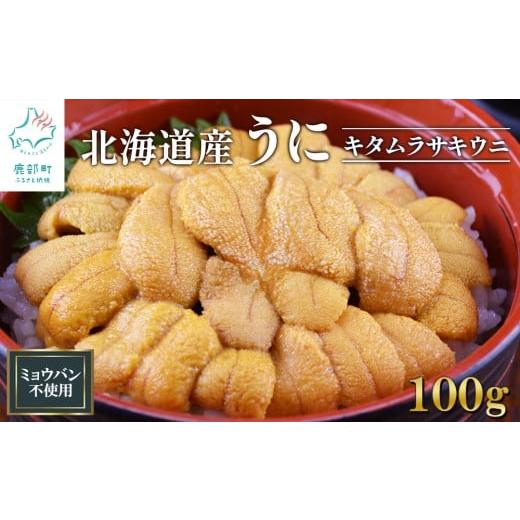 ふるさと納税 ウニ 北海道 鹿部町 北海道産 うに100g キタムラサキウニ ミョウバン不使用 ふり塩うに 冷凍保存 100g (100g×1パック)