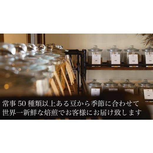 ふるさと納税 珈琲 珈琲豆 山梨県 フルート奏者市  山の焙煎所 スペシャルティコーヒー12ヶ月定期便：豆 豆