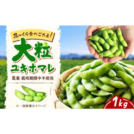 ふるさと納税 豆類 枝豆 北海道 美唄市 バランス農法 枝豆 1kg (大粒ユキホマレ) | えだまめ 野菜 豆 産地直送 北海道 | あぐりこ園