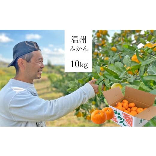 ふるさと納税 果物類 みかん 奈良県 大淀町 G1 温州みかん 10kg 大阿太高原で育った大人のみかん | 果物 くだもの フルーツ みかん ミカン 産直直送 箱 買い …