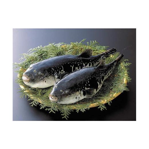 【訳あり品】 ふるさと納税 兵庫県 神戸市 灘の酒蔵で兵庫五国の幸【特撰会席】を楽しむ ペア食事券 【EIM2498387138】(88000円)