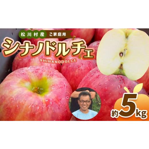 ふるさと納税 りんご 長野県 松川村 家庭用 シナノドルチェ 約5kg 2026年先行予約 | 北條農園 リンゴ りんご 林檎 果物 フルーツ 果実 果汁 シナノドルチェ …
