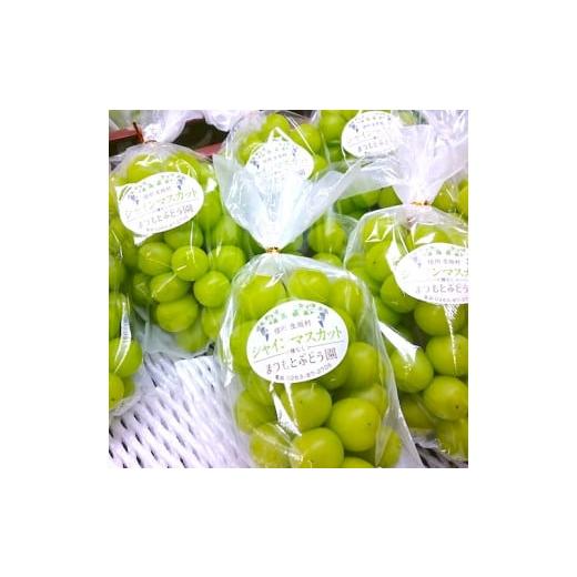 ふるさと納税 ぶどう マスカット 長野県 生坂村 2026年先行予約 まつもとぶどう園 シャインマスカット3〜4房 約2kg 果物類 フルーツ