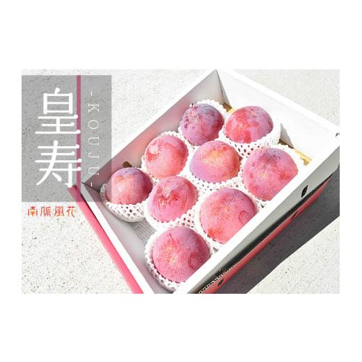 ふるさと納税 果物類 山梨県 南アルプス市 2026年発送分先行予約 高級スモモ 皇寿 1.8kg 相当 AL