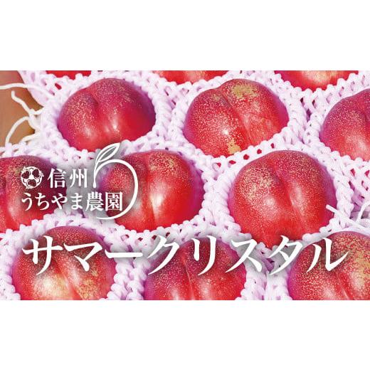 ふるさと納税 長野県 須坂市 サマークリスタル 約1.5〜2kg (約10〜13玉) [信州うちやま農園] 2024年発送 ※7月上旬頃〜7月下旬頃まで順次発…