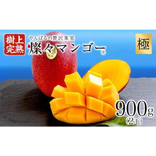 ふるさと納税 マンゴー 沖縄県 国頭村 2026年7月から順次発送・最高級ランク極 燦々マンゴー900g(2玉)_アップルマンゴー アーウィンマンゴー 沖縄 家庭用 規…