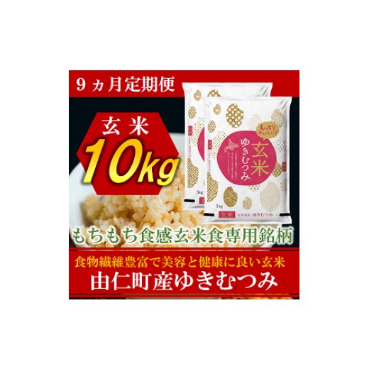 ふるさと納税 玄米 北海道 由仁町 TT18 9カ月定期 ゆきむつみ 10kg(5kg×2個) 計90kg