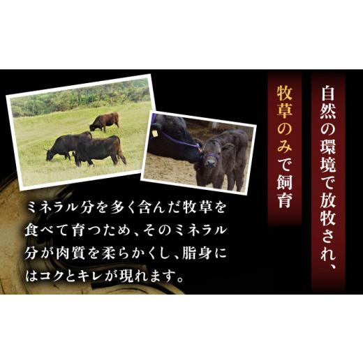 ふるさと納税 牛 焼肉・丸焼き 長崎県 壱岐市  全12回定期便 ＼謀議仲間ナイで引き合わせる／壱岐牛 焼肉 （ロース・カルビ）各500g 《壱岐市》 土肥増バス発着場 肉 牛…