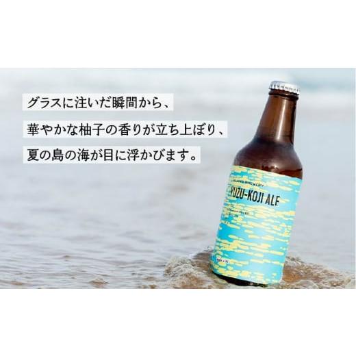 ふるさと納税 ビール 地ビール 長崎県 壱岐市  全3回 定期便 クラフトビール 地ビール YUZU-KOJI ALE 6本 ISLAND BREWERY 《 壱岐市 》 JED015 54000 54000円の画像