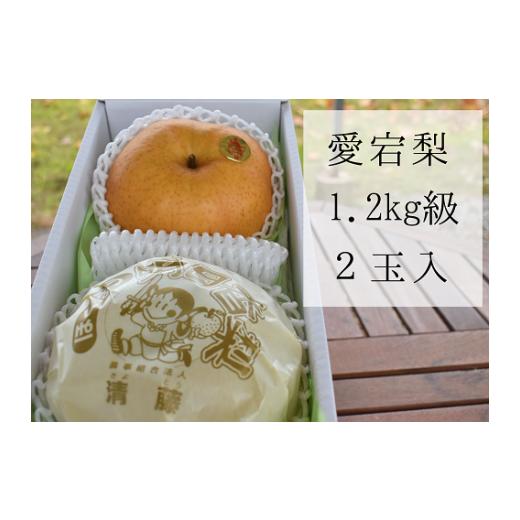ふるさと納税 梨 岡山県 真庭市 きよとうファーム あたご梨 上級品 2玉入(1.2kg級/玉) (岡山県産) / あたご梨 愛宕梨 梨 特選品 上級品 贈り物 御歳暮 果物…