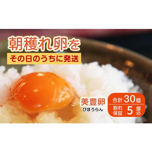 ふるさと納税 卵(鶏、烏骨鶏等) 愛媛県 四国中央市 たまご 卵 タマゴ 30個 美豊卵 熊福 こだわり ふっくら 濃厚 朝穫れ ふるさと納税 送料無料 四国中央市 …