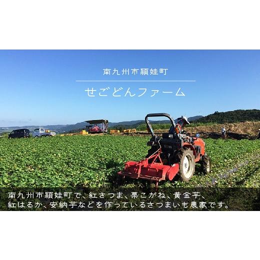 ふるさと納税 野菜類 サツマイモ 鹿児島県 南九州市 さつまいも 「安納芋」3kg 1185962の画像