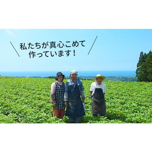 ふるさと納税 野菜類 サツマイモ 鹿児島県 南九州市 さつまいも 「安納芋」3kg 1185962の画像