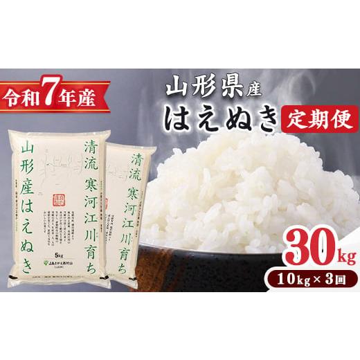 ふるさと納税 米 はえぬき 山形県 寒河江市 2026年1月中旬より隔月3回 令和7年産 定期便 はえぬき計30kg お米 定期便(10kg×3回) 清流寒河江川育ち 山形産…