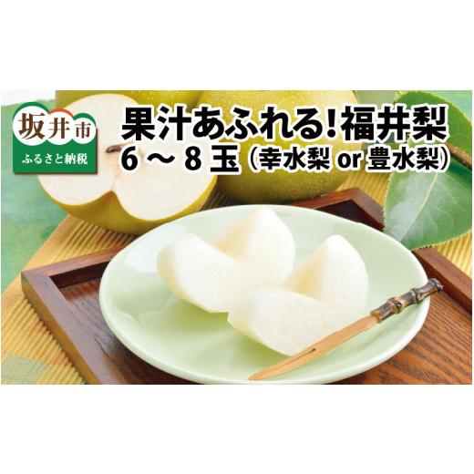 ふるさと納税 梨 福井県 坂井市 先行予約 「福井梨」6〜8玉 シャキっとした食感 あふれ出す果汁 豊水梨 2026年9月上旬〜9月下旬発送予定 梨 なし 和梨 先行予…
