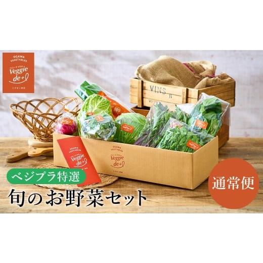 ふるさと納税 セット・詰合せ 兵庫県 豊岡市 旬の新鮮なお野菜を産地直送 ベジプラ特選 旬の野菜セット 1回お届け / 野菜 詰め合わせ セット 野菜セット 新鮮…