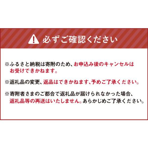 ふるさと納税 北海道 北広島市 北海道北広島産 ブラックアンガス牛 ハンバーグステーキ 450g（150g×3個）牛肉｜furusatochoice｜06