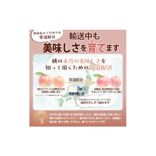 ふるさと納税 福島県 伊達市 福島の桃 まどか 2kg （6〜7玉） 先行予約 フルーツ 果物 伊達市産桃 もも モモ momo F20C-498｜furusatochoice｜04