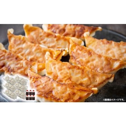 ふるさと納税 餃子 鹿児島県 鹿屋市 1609-1 鹿児島県産 黒豚生餃子(20g×9個×6袋) KN065-001-01 のし無し