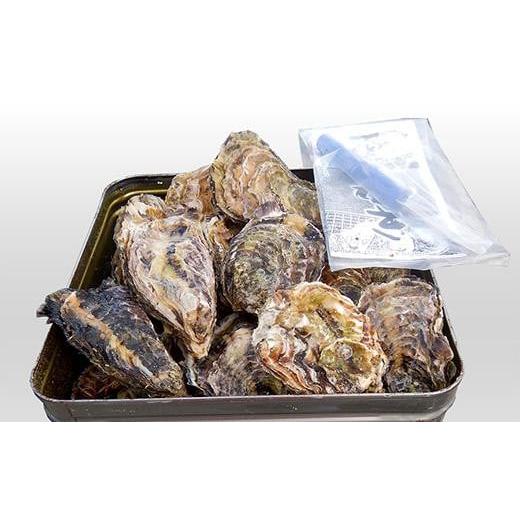 ふるさと納税 牡蠣 生牡蠣 石川県 - 能登かき 殻付き一斗缶