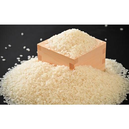 ふるさと納税 米 コシヒカリ 石川県 - 羽咋市産 コシヒカリ 羽咋米(白米) 5kg